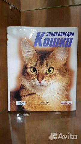 Энциклопедия кошки Энциклопедия кошки