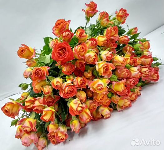 Букет из 21 красно-желтой кустовой розы, длина 50с