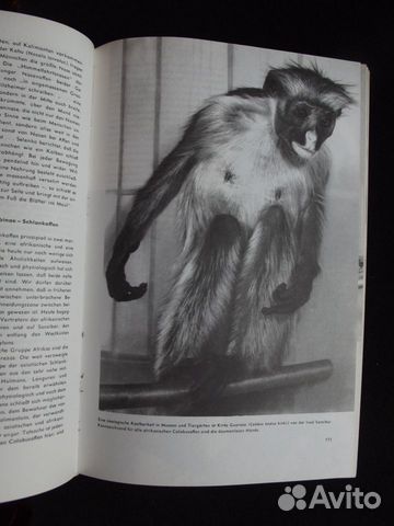 Книга про животных на немецком