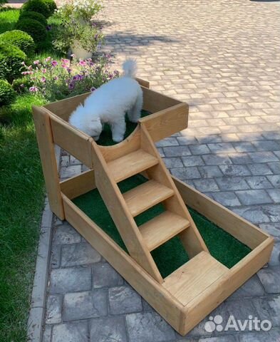 Спальня для двух собак