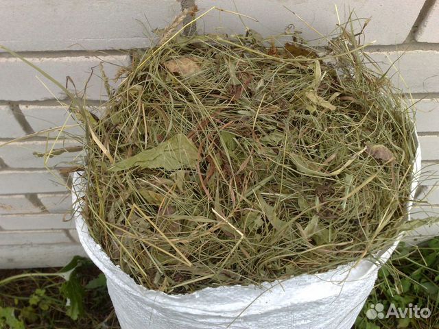 Продам сено