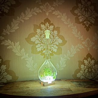 Вечная живая биосфера светильник 