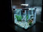 Кубические аквариумы Нано Куб NanoKube объявление продам