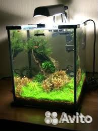 Аквариум Акваэль. Кубик AquaEl. Фирменный аквариум