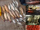 Рыбалка и отдых в Астраханской области объявление продам