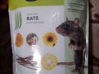 Комплект с крысами объявление продам