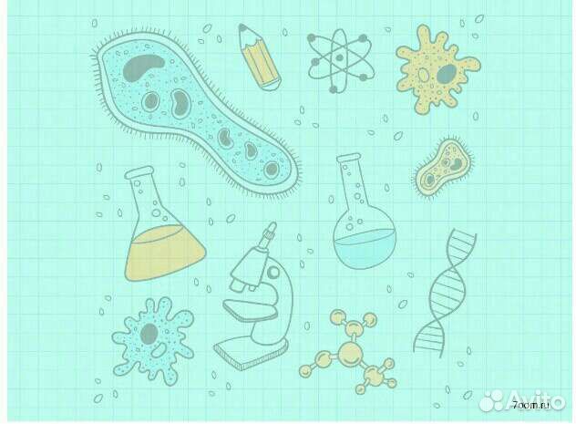 Репетитор по биологии