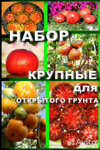 Набор семян 