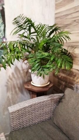 2-к. квартира, 45 м², 1/16 эт.