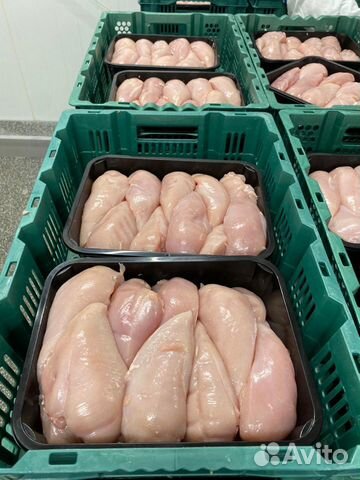 Филе куриное, Шаурма, крыло, оптом Халяль. гост