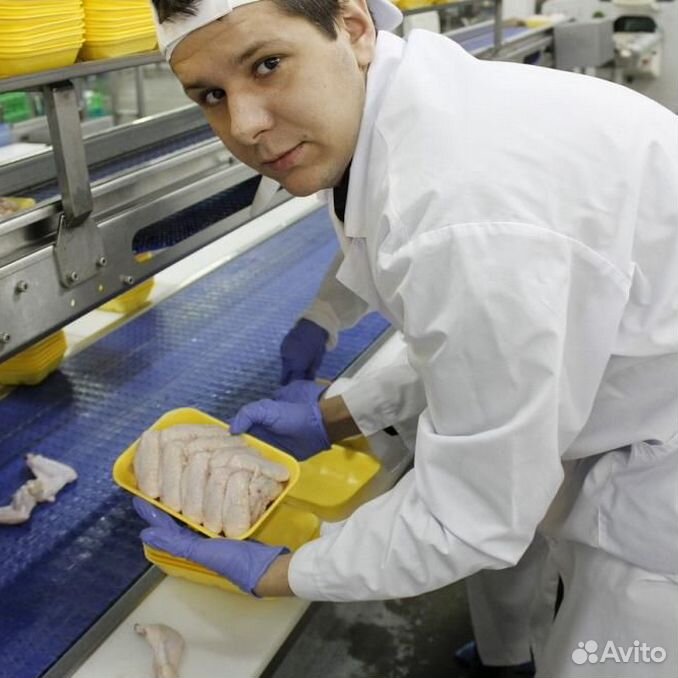 авито тимашевск работа. вакансии тимашевск. работа в тимашевске свежие вакансии. магазин светофор в тимашевске адрес. кто сейчас требуется на работу.