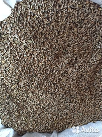 Пшеница в мешках по 30 кг