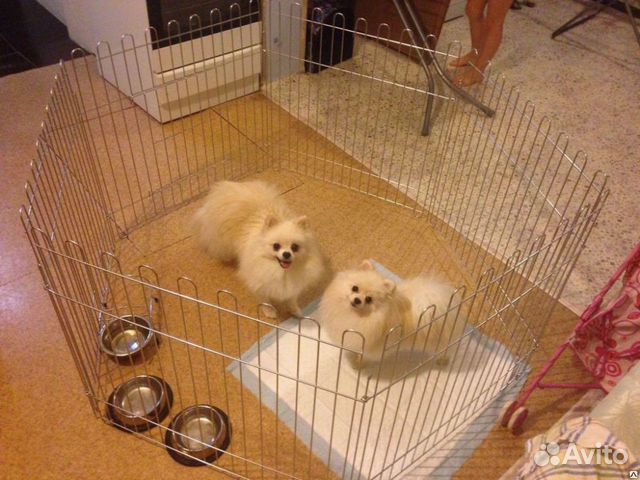 Вольер для собак