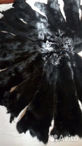 Шкуры черной лисы