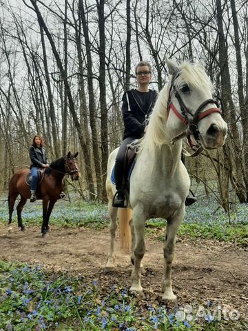 Прогулка на лошадях