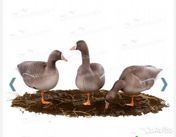 Чучела гусей для охоты цена за 10шт