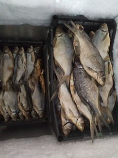 Рыба вяленая и свежемороженая:вобла,лещ,окунь,кара