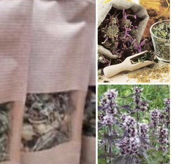 Сбор трав «Фито релакс»/Травы на меду/Сборы трав