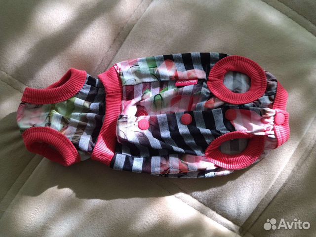 Одежда для маленьких собак