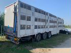 Полуприцеп для перевозки скота Pezzaioli SBA63, 2019