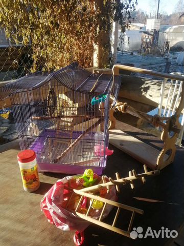 Клетка для попугая с игрушками