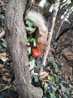 Monster high ooak кукла Венера