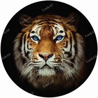 Наклейка с рисунком 