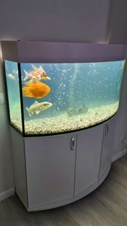 Аквариумы на заказ