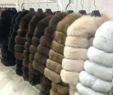 Шуба песец