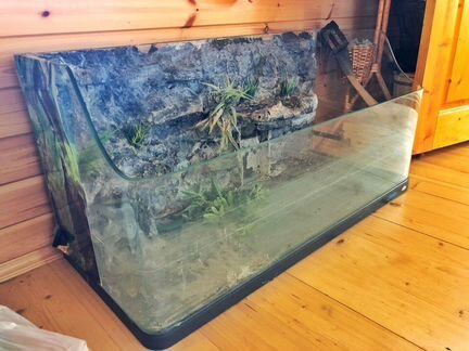 Террариум-аквариум