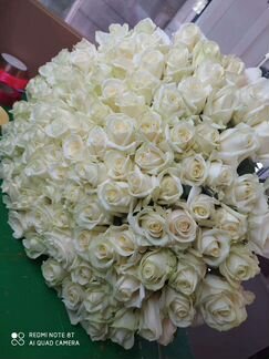 101 белая роза 70 см