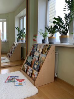 Полка стелаж для книг. Лестница для детей