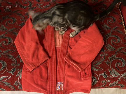 Самбовка