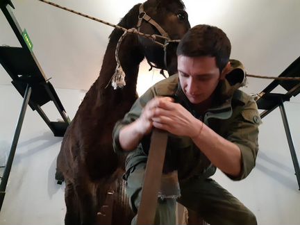 Ковка лошади, Расчистка копыт