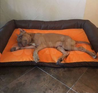 Лежанка для собак любых размеров