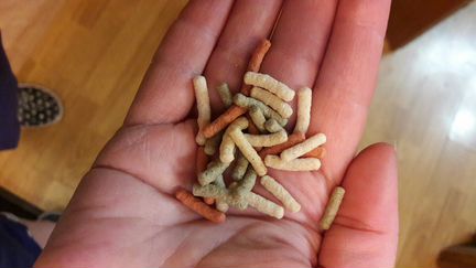 Корм для крупных рыб