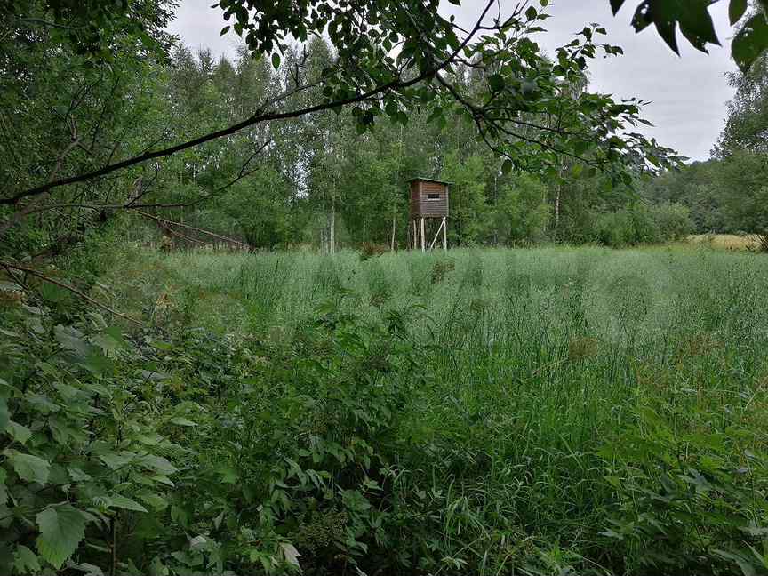 Участок лодейном. Лодейнопольский р-н, янегское сельское поселение, д. Деревня генердно лужский район. Деревня мошкино городецкий район. Участок лодейном.