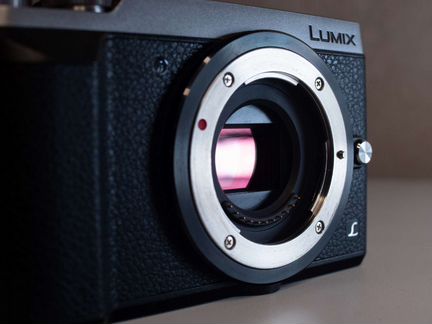 Panasonic Lumix GX80/85
