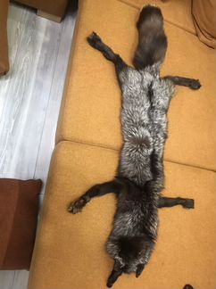 Лисья шкура чернобурая