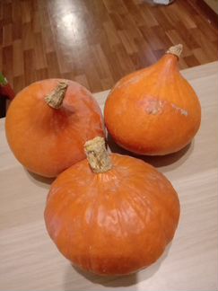 Семена тыквы детвора