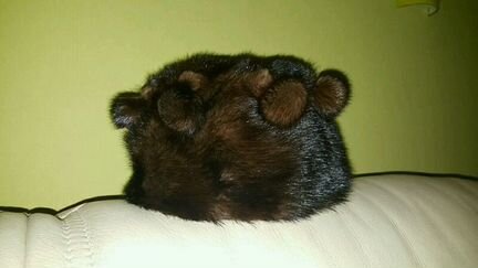 Меховая шапка из меха норки