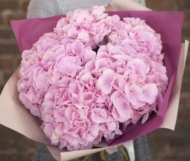 Гортензия розовая 5 шт