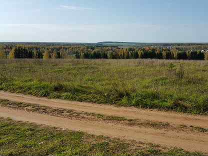 Головизнинцы киров. Участок 300 соток. Головизнинцы 6.