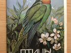Набор открыток «Птицы России. Сибирь» 1988 г