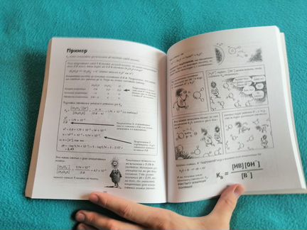 Химия. Ларри Гоник