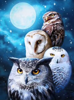 Картина стразами «Ночные совы» 30х40
