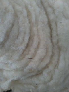 Шерстипон, весь рулон