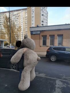 Плюшевый медведь Тихон 200 см торг