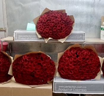 101 Роза Букеты Цветы Розы 31 51 151 201 Доставка