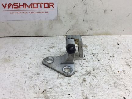 Петля двери задняя левая Volkswagen Passat B7